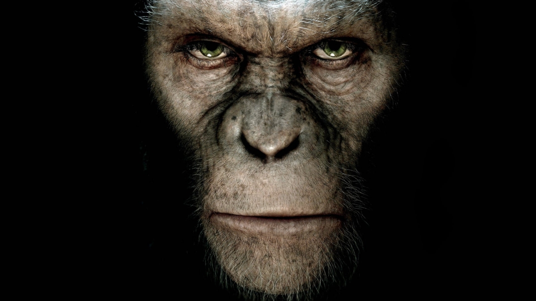 war for the planet of the apes full movie putlocker