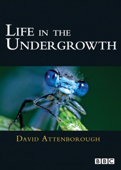 Life in the Undergrowth-free