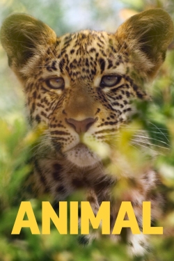 Animal-free
