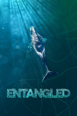 Entangled: The Race to Save Right Whales from Extinction-free