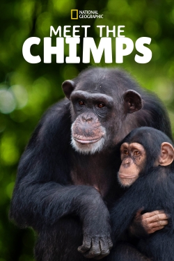 Meet the Chimps-free