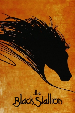 The Black Stallion-free