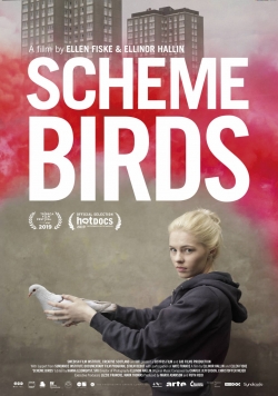 Scheme Birds-free