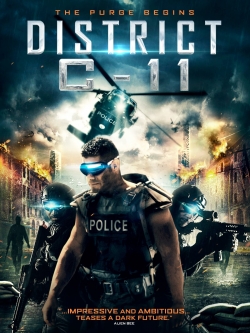 District C-11-free