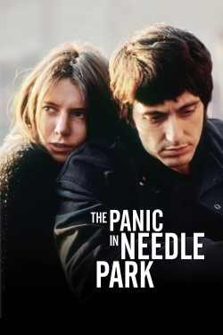 The Panic in Needle Park-free