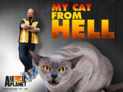 My Cat from Hell-free