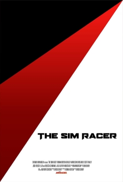 The Sim Racer-free