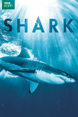 Shark-free