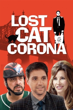Lost Cat Corona-free