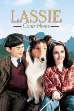 Lassie Come Home-free