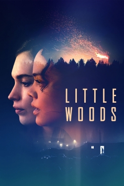 Little Woods-free