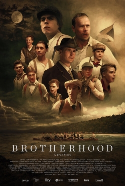 Brotherhood-free