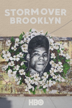 Yusuf Hawkins: Storm Over Brooklyn-free