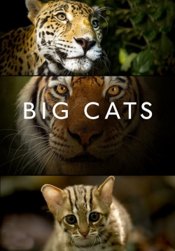Big Cats-free