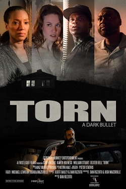 Torn: Dark Bullets-free