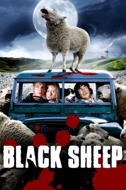 Black Sheep-free