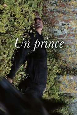 A Prince-free