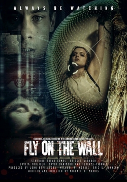 Fly on the Wall-free
