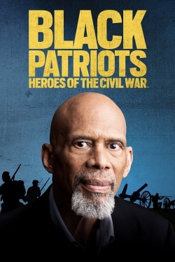 Black Patriots: Heroes of the Civil War-free