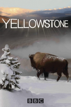 Yellowstone-free