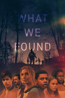 What We Found-free