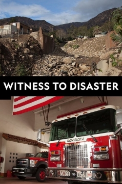 Witness to Disaster-free