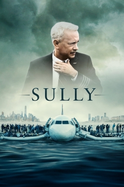 Sully-free