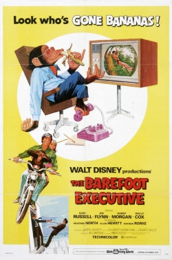 The Barefoot Executive-free