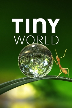 Tiny World-free