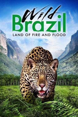 Wild Brazil-free