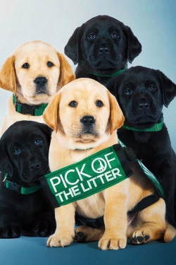 Pick of the Litter-free